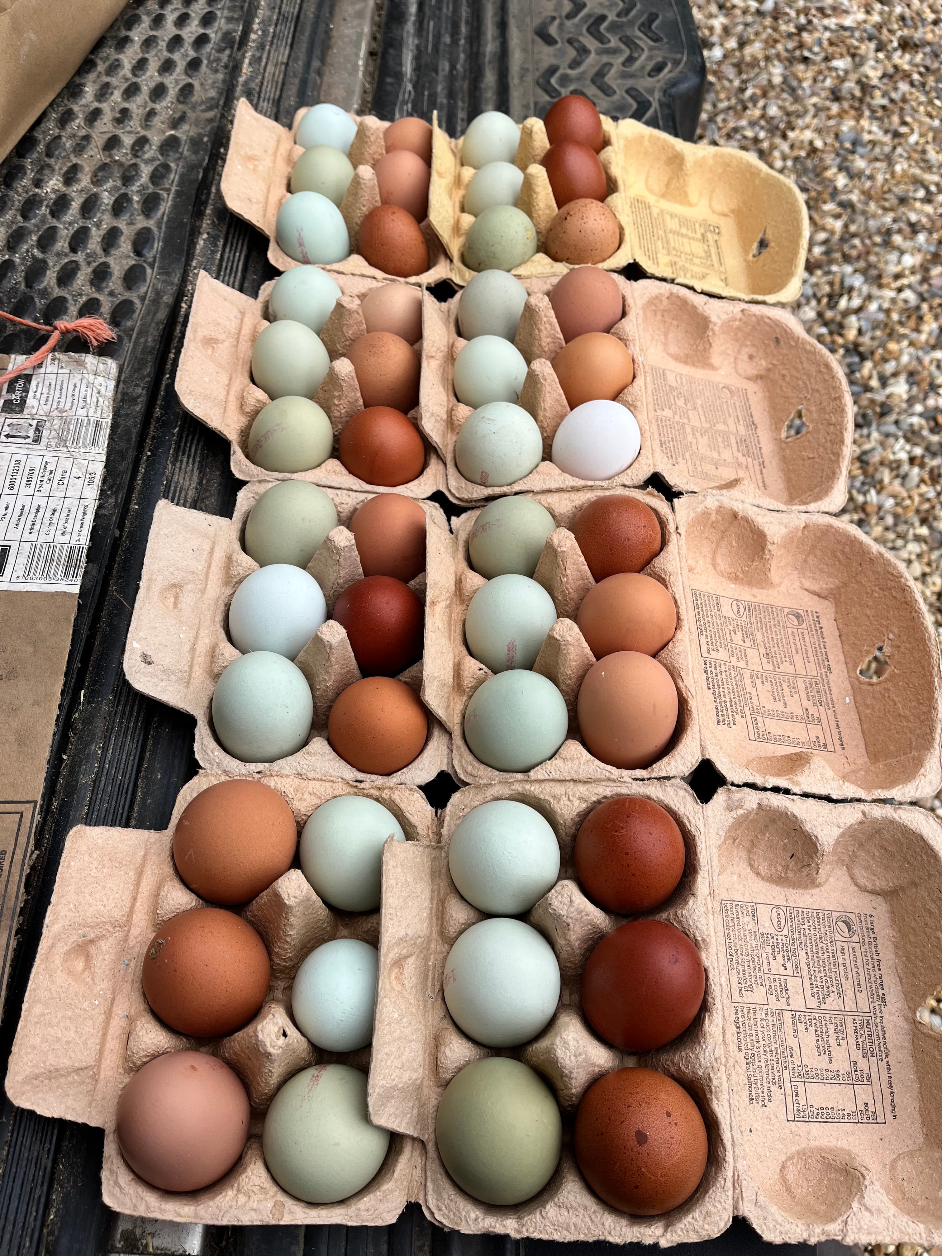 Heritage breed mixed weight eggs